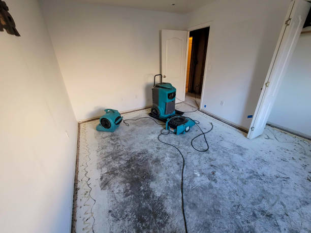 Best Local water damage restoration  in El Lago, TX