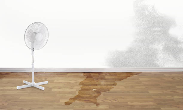 Best Water damage contractors near me  in El Lago, TX